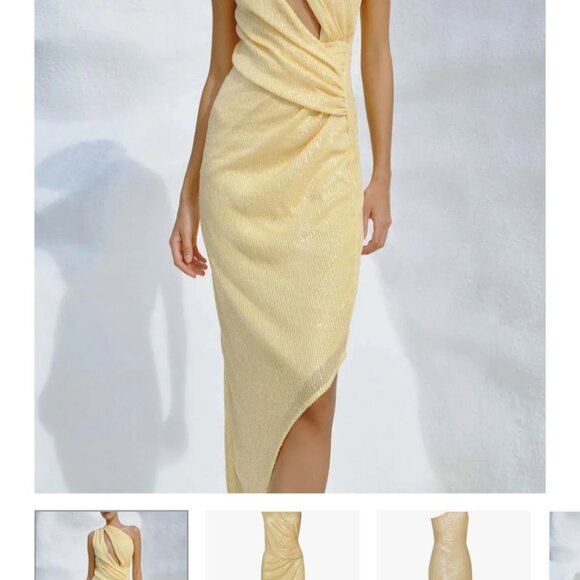 Noe Midi Dress- Baobab - Picture 3 of 3